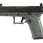 LWD DUSK 19 RMR 9MM 15RD GRAY/BLACK