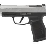 SIG P365XL 9MM 3.7" 12RD BLK/STS OR