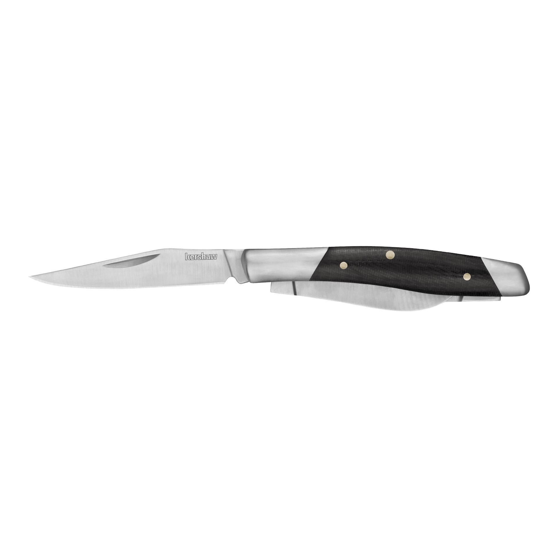 Kershaw Iredale Folding Pocketknife 2 3/5" Clip Point Blade Black