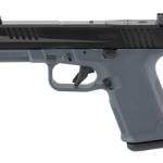 RUGER RXM 9MM 10RD NS GRY W/MGPL EHG