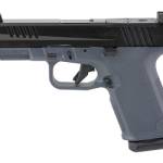 RUGER RXM 9MM 15RD NS GRY W/MGPL EHG