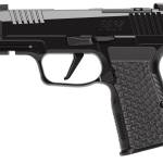SIG SAUER P365 AXG COMP LUXE 380ACP 12+1