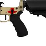 FRANKLIN ARMORY LIBERTAS BUILT - BINARY EQUIPPED LOWER DESERT