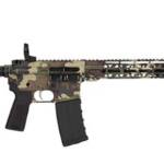 HIPOINT PISTOL HP-15 300 AAC - 10.5" 30RD BLADE BRACE M81