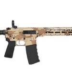 HIPOINT PISTOL HP-15 5.56 - 10.5" 30RD BLADE BRACE STORM