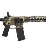 HIPOINT PISTOL HP-15 5.56 - 10.5" 30RD BLADE BRACE M81