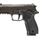 SIG P226 XLGN DA/SA 9MM 3.8 10RD GRY