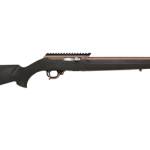 TACSOL XRING VR 22LR HOGUE QS/BLK