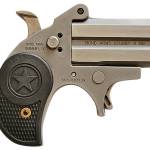 Bond Arms BASTB9mm Luger 2rd Shot 2.20" Matte Stainless Steel Frame, Black Textured Polymer Grips