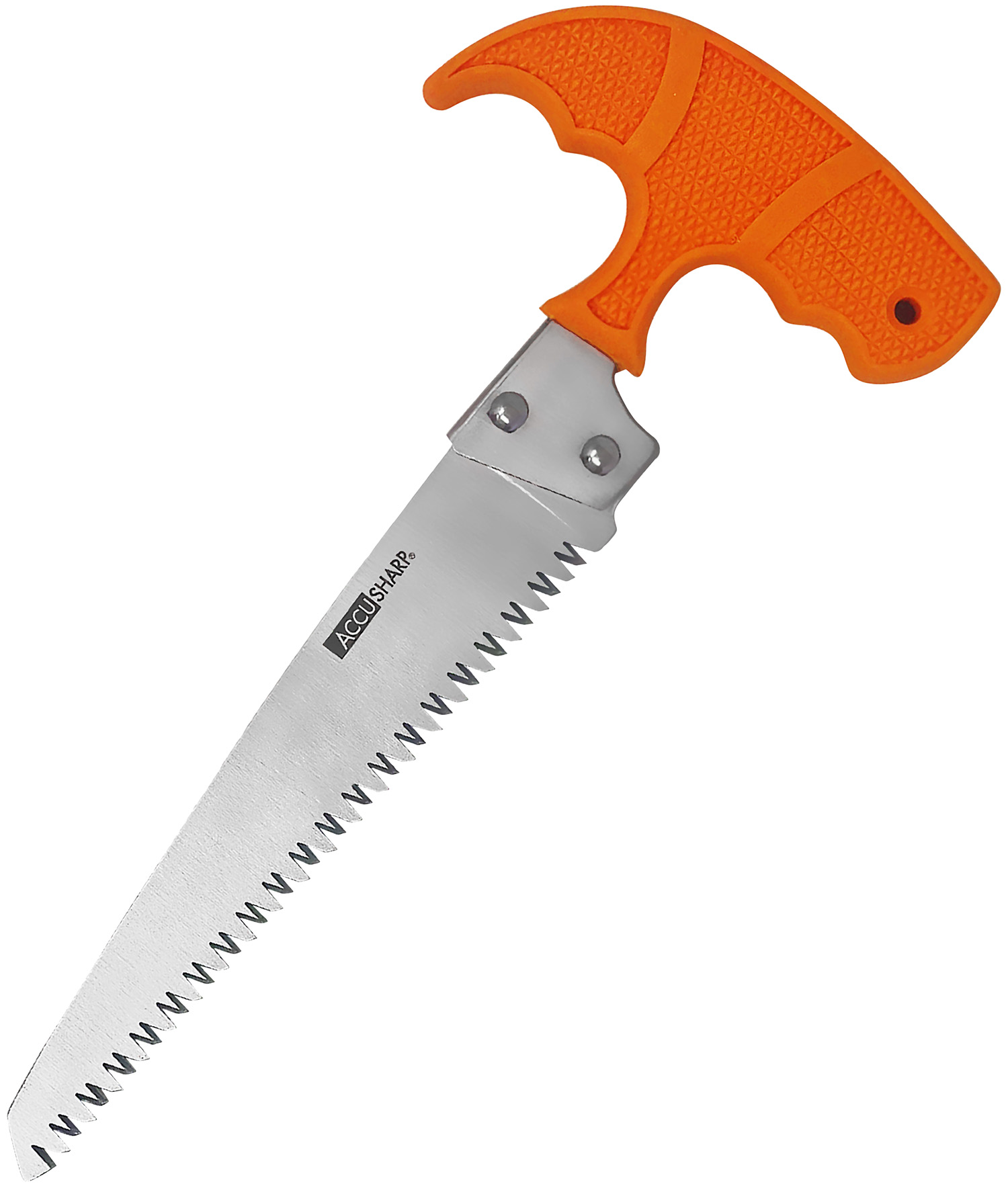 AccuSharp 730C Bone Saw  Fixed Saw 6" Stainless Steel Blade/ Blaze Orange T-Shaped Handle