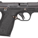 S&W BODYGRD 2.0  380ACP  14660 TS RGPVD
