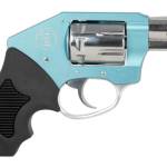 CHA 52271 THE WALKER     22LR       2"   8 BLUE/HP