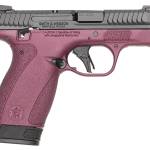 S&W BODYGRD 2.0 380ACP   14661 TS H-319 BCF