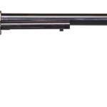 HERITAGE MANUFACTURING 22LR/22M WYATT EARP CCH 12"  #