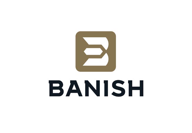 BANISH VRMT 223-V2 TI DT FDE