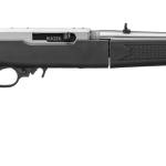 RUGER 10/22 TD 22LR SS/SYN 18.5"