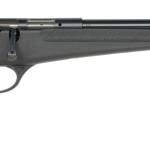 Savage Arms  Rascal F-SR 22 LR 1rd 16.13" Matte Black Single Shot Threaded Barrel, Black Synthetic Stock, Left Hand