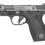 S&W BODYGRD 2 CC 380ACP 3.1" TS CA