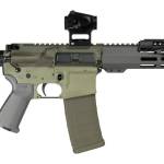 Shark Coast Tactical SCC06872BUGBR300P Bug Bear Bundle 300 Blackout 30+1 10" Threaded Barrel, Aluminum Receiver w/Picatinny Rail, M-LOK Handguard, Polymer SB Tactical SBA3 Brace, Streamlight ProTac Ra