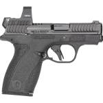 S&W BODYGRD 2.0    14786 380 2.75    RFX1   10/12R