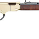 HENRY GOLDENBOY 22S/L/LR WI - TRIBUTE 20" OCT WALNUT 1/250