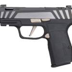 Sig Sauer 365AXG9COMPEQ P365 AXG Equinox Compact 9mm Luger 12+1 3.10" Equinox/Nitron Stainless Steel Optic Ready Slide, Equinox Black Stainless Steel Frame w/Picatinny Rail, Black G10 Grip