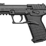 KELTEC P17 3.8" 22LR 16RD BLK