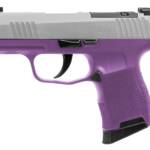 SIG SAUER P365 9MM NIT 10+1 XRAY SS/PUR