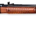 HENRY PUMP ACTION OCTAGON .22WMR MAG